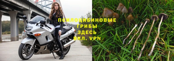 МДМА Новодвинск