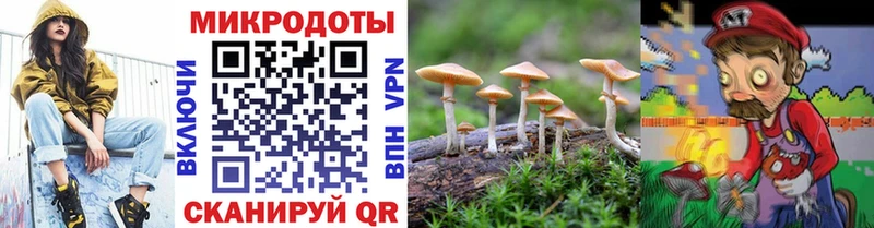 купить наркотик  Тейково  ОМГ ОМГ рабочий сайт  Псилоцибиновые грибы мицелий 